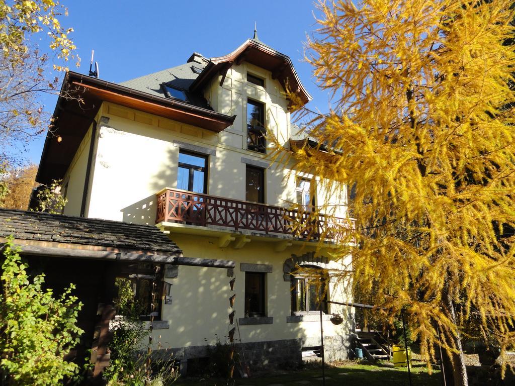 Les Terrasses Des Glaciers - Appartement 2 シャモニー 部屋 写真